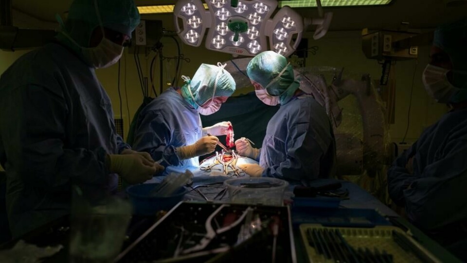 Her injiseres en pasient med bakteriofager, bakteriedrepende virus, ved et sykehus i Frankrike. Metoden ble tidligere ansett som sovjetisk pseudovitenskap. Her injiseres en pasient med bakteriofager, bakteriedrepende virus, ved et sykehus i Frankrike. Metoden ble tidligere ansett som sovjetisk pseudovitenskap. Foto: Romain Lafabregue / AFP/NTB