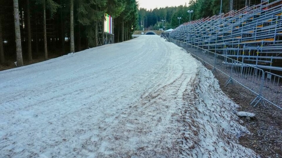 Snømangel og uvær har delvis ødelagt skiløypene i tsjekkiske Nove Mesto to dager før VM i skiskyting starter. Løypene er isete og fulle av granbar. Foto: Heiko Junge / NTB