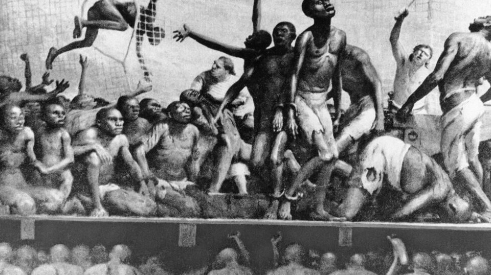 Minst 10,7 millioner svarte slaver ble fraktet fra Afrika til Amerika gjennom den transatlantiske slavehandelen. Også norske skip deltok. Foto: Wikimedia Commons.
