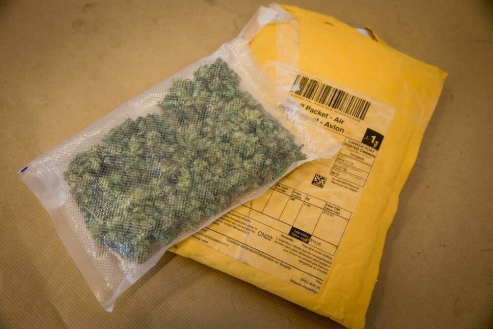 Beslag av det narkotiske stoffet cannabis er tredoblet i Norge, viser tall fra Tolletaten. Illustrasjonsfoto: Erlend Aas / NTB scanpix Beslag av det narkotiske stoffet cannabis er tredoblet i Norge, viser tall fra Tolletaten. Illustrasjonsfoto: Erlend Aas / NTB scanpix Foto: NTB scanpix