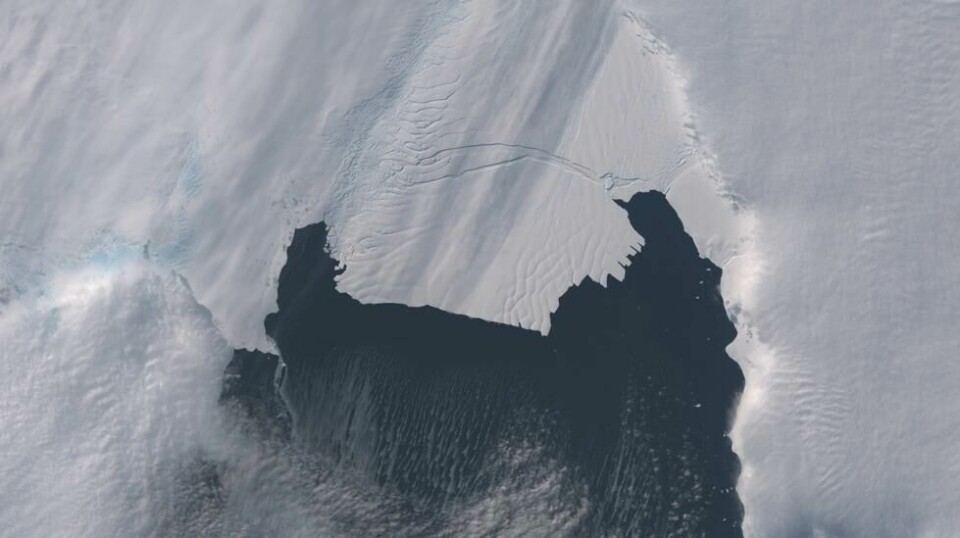 Satellittfoto viser da isfjellet B-31 løsnet fra Pine Island-breen i 2013. Isflaket var seks ganger større enn Manhattan da det løsnet.