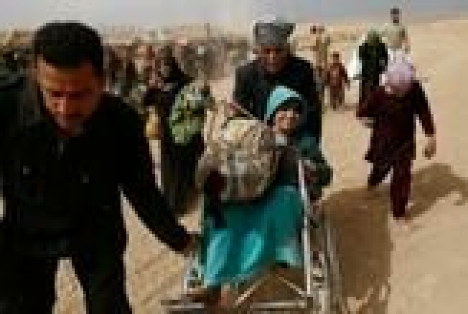 Internt fordrevne irakere som akkurat har flyktet fra Vest-Mosul smiler i det de ankommer basen til irakiske spesialstyrker. Internt fordrevne irakere som akkurat har flyktet fra Vest-Mosul smiler i det de ankommer basen til irakiske spesialstyrker. Foto: Zohra Bensemra / Reuters