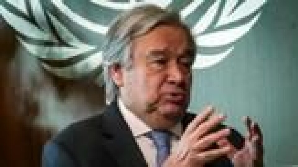 FNs generalsekretær António Guterres FNs generalsekretær António Guterres