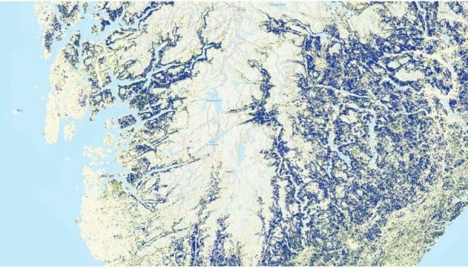 På kartet kan du se hvor det er naturskog. De blå feltene viser skogen som aldri har blitt flatehogd. Dette kartet ble lansert i januar i år. Faksimile fra kartjenesten. På kartet kan du se hvor det er naturskog. De blå feltene viser skogen som aldri har blitt flatehogd. Dette kartet ble lansert i januar i år. Faksimile fra kartjenesten.