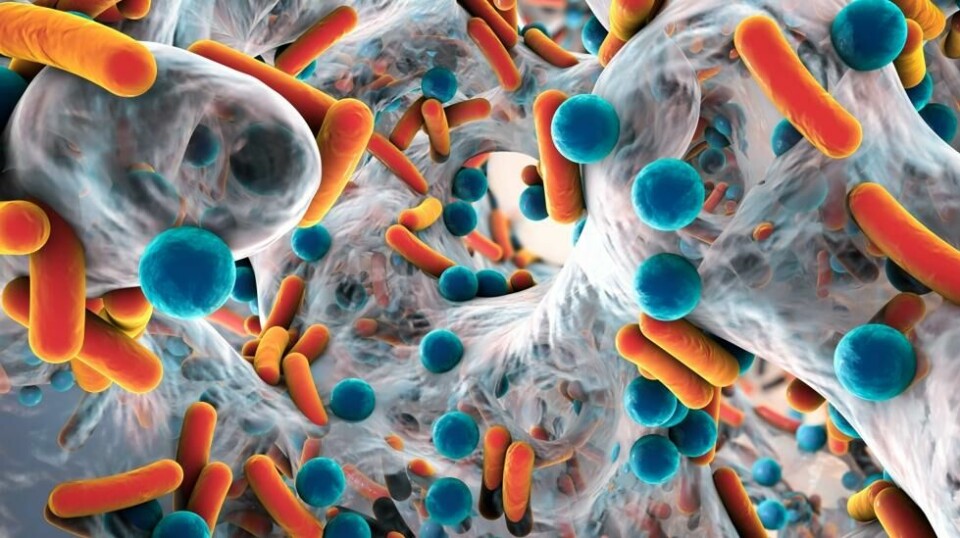 Britisk toppkirurg mener den neste globale helsetrusselen er antibiotikaresistens. Hevder det allerede tar livet av én million mennesker årlig.
