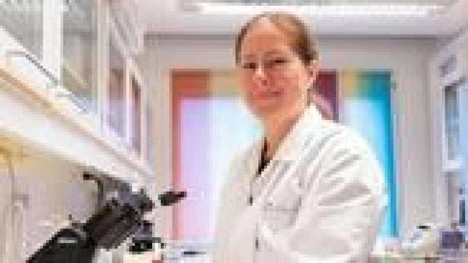 Gunnveig Grødeland forsker på hvordan immunsystemet reagerer på omikron. Gunnveig Grødeland forsker på hvordan immunsystemet reagerer på omikron. Foto: UiO