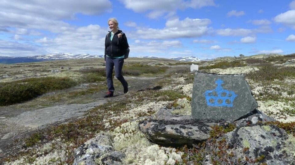 Kongevegen over Dovrefjell er merket med den blå kongekrona. Her ved Hardbakken, med Snøhetta i bakgrunnen.