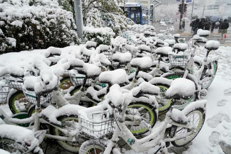 Sykler dekket med snø står parkert utenfor en T-banestasjon i Seoul.