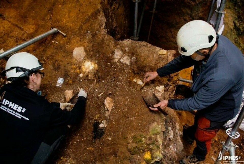 Her ble de nye fossilene funnet. Her ble de nye fossilene funnet. Foto: Maria D. Guillén / IPHES-CERCA
