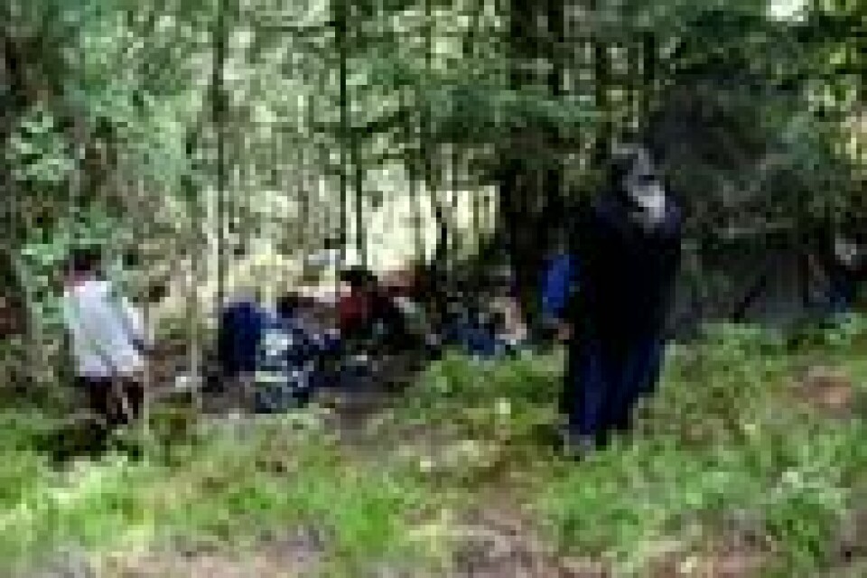 ULOVLIGE ROMLEIRE: Myndighetene også i Norge har sitt svare strev med å rydde ulovlige leire som tilreisende romfolk etablerer, her ved Sognsvann i Oslo i 2012. ULOVLIGE ROMLEIRE: Myndighetene også i Norge har sitt svare strev med å rydde ulovlige leire som tilreisende romfolk etablerer, her ved Sognsvann i Oslo i 2012. Foto: Anette Karlsen / NTB scanpix
