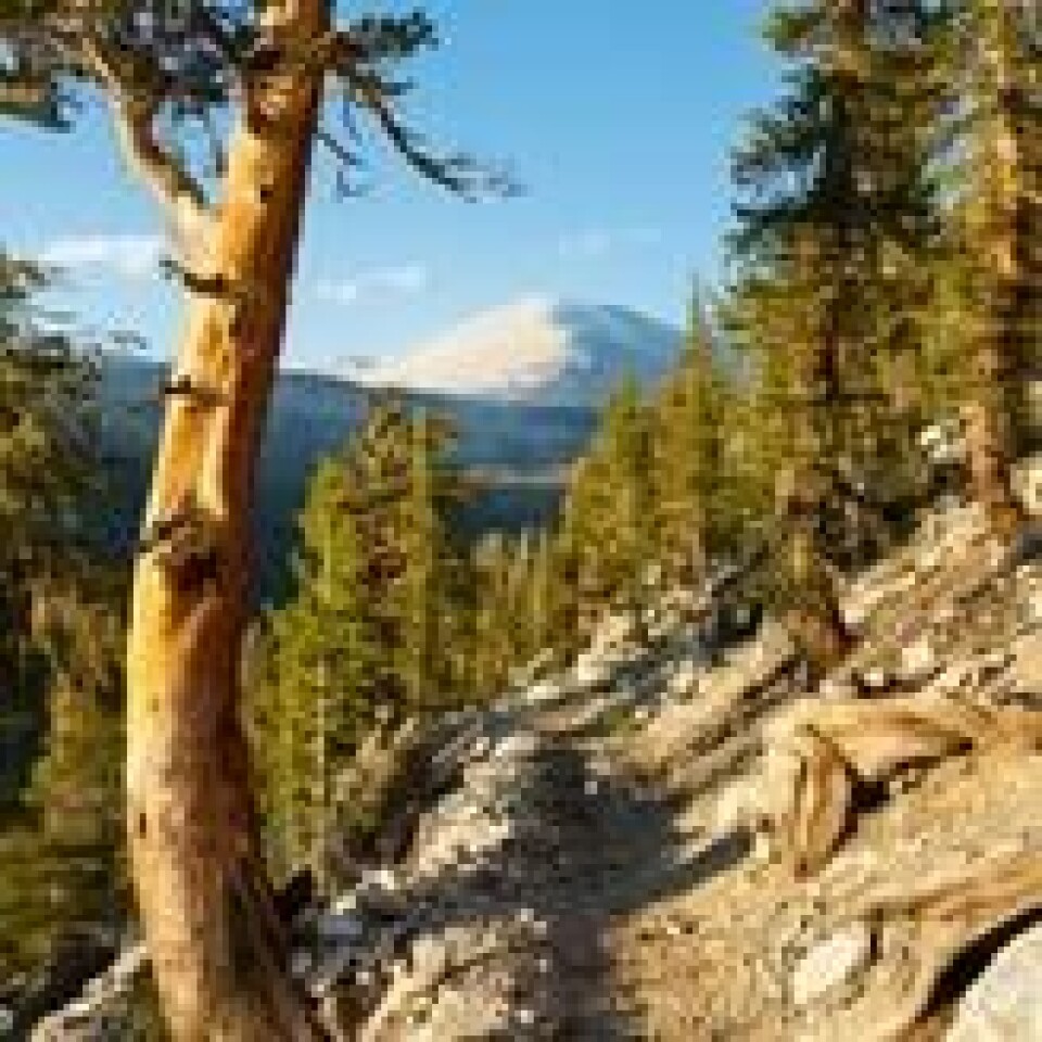 John Muir Trail & Pacific Crest Trail i Sierra Nevada-fjellene i California, USA. Shutterstock / NTB scanpix John Muir Trail & Pacific Crest Trail i Sierra Nevada-fjellene i California, USA. Shutterstock / NTB scanpix