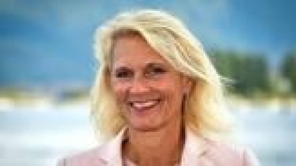 Bodil Rønning Dreyer er direktør for avdelingen for Trafikant og kjøretøy i Statens vegvesen. Bodil Rønning Dreyer er direktør for avdelingen for Trafikant og kjøretøy i Statens vegvesen. Foto: Statens vegvesen