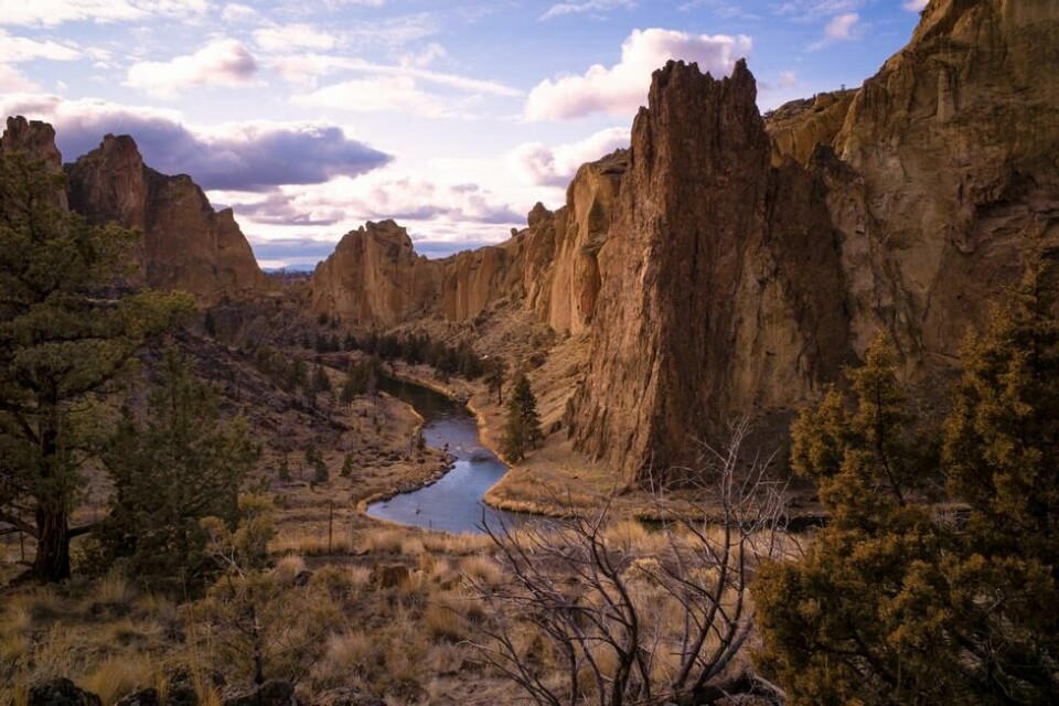 NATURPERLE: De spesielle fjellformasjonene i Smith Rock State Park tiltrekker seg tusenvis av klatrere, samt mange filmregissører som bruker området som rekvisitt. NATURPERLE: De spesielle fjellformasjonene i Smith Rock State Park tiltrekker seg tusenvis av klatrere, samt mange filmregissører som bruker området som rekvisitt.