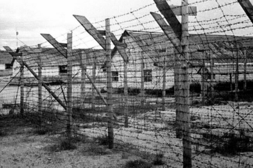 Slik illustrerer den russiske grnakningskomiteen sin melding om forbrytelser i de finske leirene på Karelen. Slik illustrerer den russiske grnakningskomiteen sin melding om forbrytelser i de finske leirene på Karelen. Foto: sledcom.ru