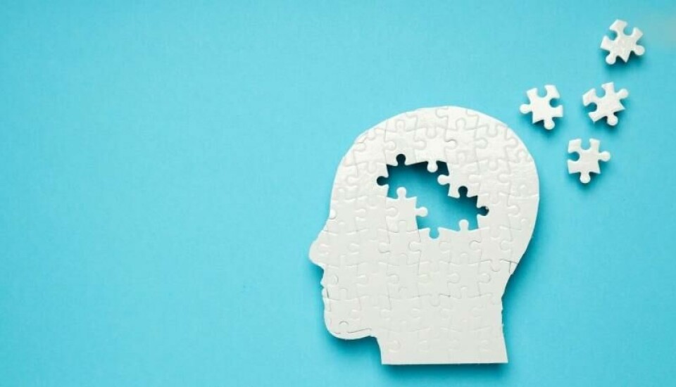 Er Alzheimers en slags diabetes i hjernen? Begynner flere puslespillbrikker å ramle på plass i jakten på en årsak til demenslidelsene? (Illustrasjon). Er Alzheimers en slags diabetes i hjernen? Begynner flere puslespillbrikker å ramle på plass i jakten på en årsak til demenslidelsene? (Illustrasjon). Foto: Atlas Studio/ NTB / Shutterstock