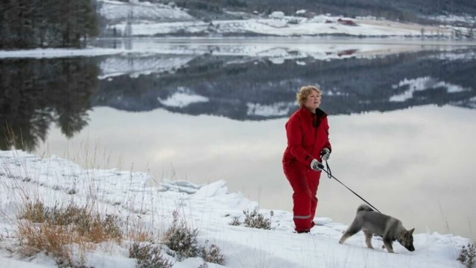 – Når jeg sitter på kontoret i UD eller ligger våken i pendlerleiligheten i Oslo, kan det som skjer i verden føles ganske dystert. Men her på garden klarer jeg å rydde i tankene, sier utviklingsminister Anne Beathe Tvinnereim (Sp) til Panorama.