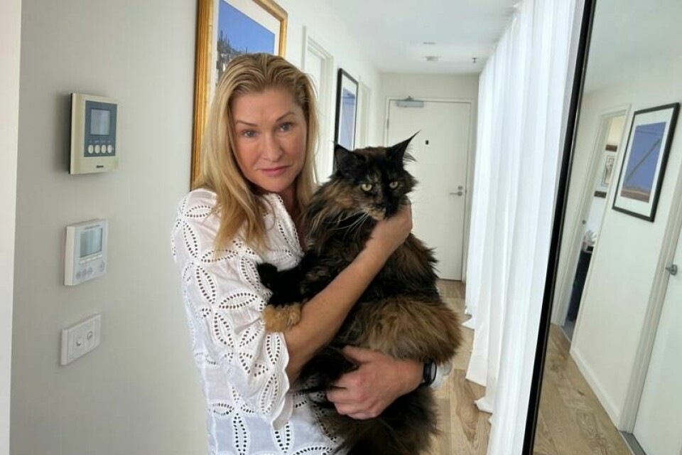Margo Neas holder Mittens etter at katten omsider fikk komme godt hjem til familiens nye hus i Melbourne. På knappe 24 timer reiste Mittens tre ganger mellom New Zealand og Australia.