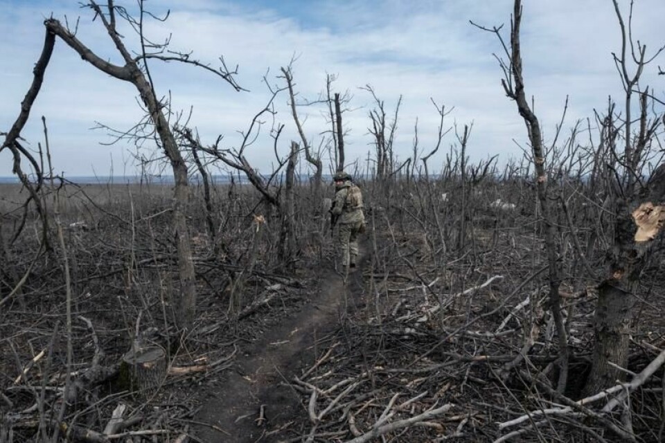I tillegg til menneskelige lidelser, materielle skader og titusener av drepte, har krigen i Ukraina ført til store miljøødeleggelser og CO2-utslipp, sier landets miljøminister. Arkivfoto: Iryna Rybakova / AP / NTB