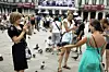 MARKUSPLASSEN: Det sentrale møtestedet i Venezia er også populært blant byens løse fugler. (Foto: Bjørn Moholdt)