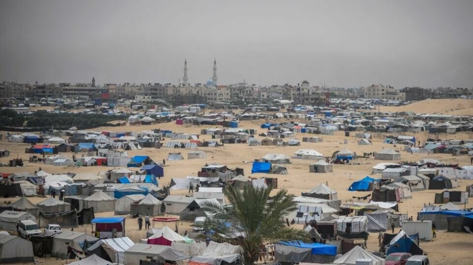 Egypt sier de vil støtte Sør-Afrikas sak hvor Israel anklages for folkemord. Bakgrunnen er situasjonen i Rafah sør i Gaza. Her fra en teltleir i byen. Foto: Abdel Kareem Hana / AP / NTB