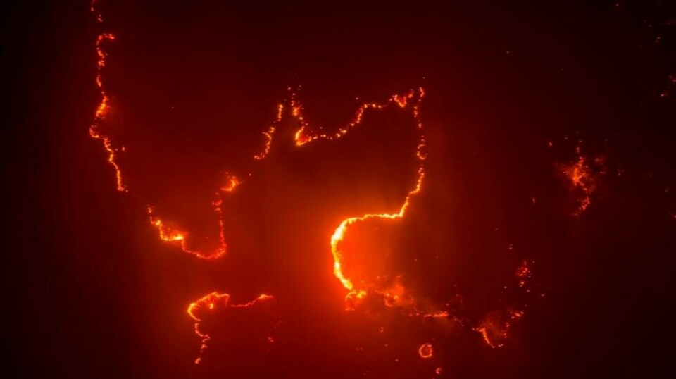 Bildet fra september viser flammene som raser i Pantanal-området.