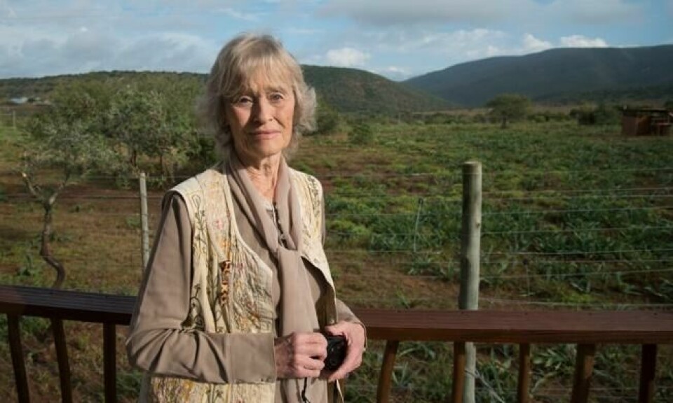 Virginia McKenna er fremdeles aktiv forkjemper for at dyr skal få leve fritt. Her er hun på plass i Sør-Afrika i forbindelse med frislippet av to løver som er blitt fraktet fra Europa til sitt nye liv i nasjonalparken. Foto: Eva-Lotta Jansson/Born Free Foundation Virginia McKenna er fremdeles aktiv forkjemper for at dyr skal få leve fritt. Her er hun på plass i Sør-Afrika i forbindelse med frislippet av to løver som er blitt fraktet fra Europa til sitt nye liv i nasjonalparken. Foto: Eva-Lotta Jansson/Born Free Foundation