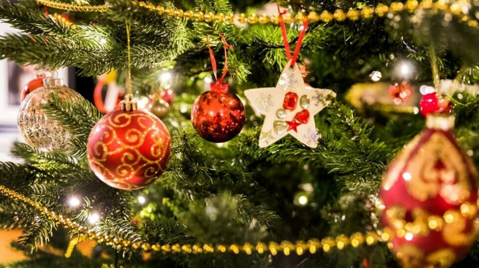 Ikke kast julegrana i peisen, advarer forsker.