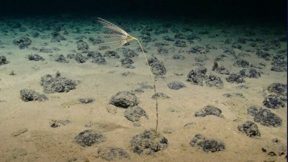 Gruvedrift på land medfører en rekke problemer. Men løsningen er ikke å kaste oss ut på dypt vann – vi må heller redusere mineralbehovet, satse på gjenvinning og andre sirkulære løsninger og fokusere på å løse problemene til dagens industri, skriver Karoline Andaur.