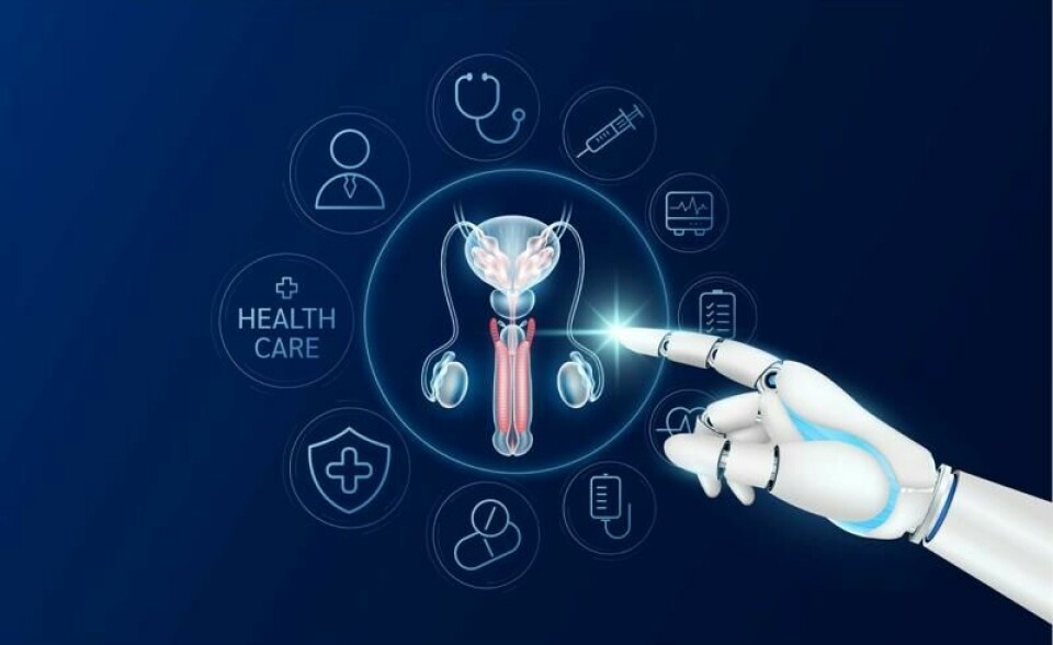 Forskere predikerer fremtidens penis. Noen spår at det kan dukke opp vibrerende implantat og innebygd prevensjon.