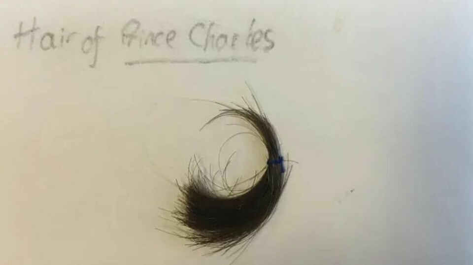 Kong Charles hårlokk selges til store summer på internett