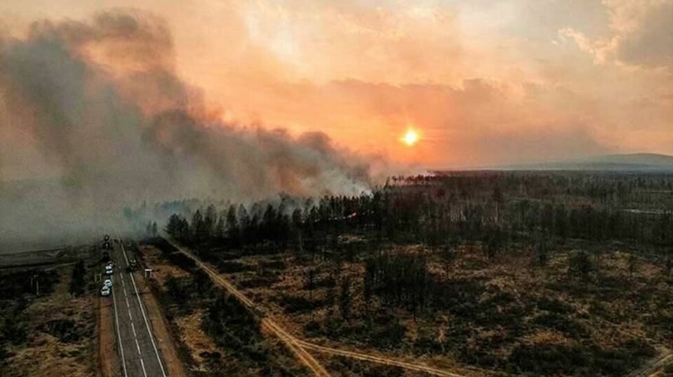 Store branner herjer flere steder i Sibir. Kraftig vind og tørt vær har fått brannene til å spre seg de siste dagene. Foto: Krisedepartementet i republikken Tuva.