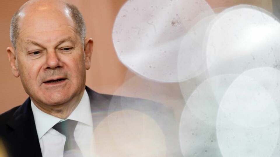 Tysklands statsminister Olaf Scholz sier fortsatt nei til å sende avanserte tyske missilsystem til Ukraina. Begrunnelsen er frykt for å bli dratt inn i krigen. Foto: Markus Schreiber / AP / NTB