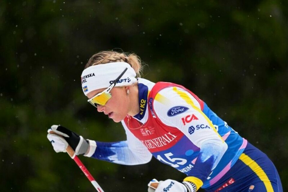 En mann er dømt for å ha forfulgt Frida Karlsson.