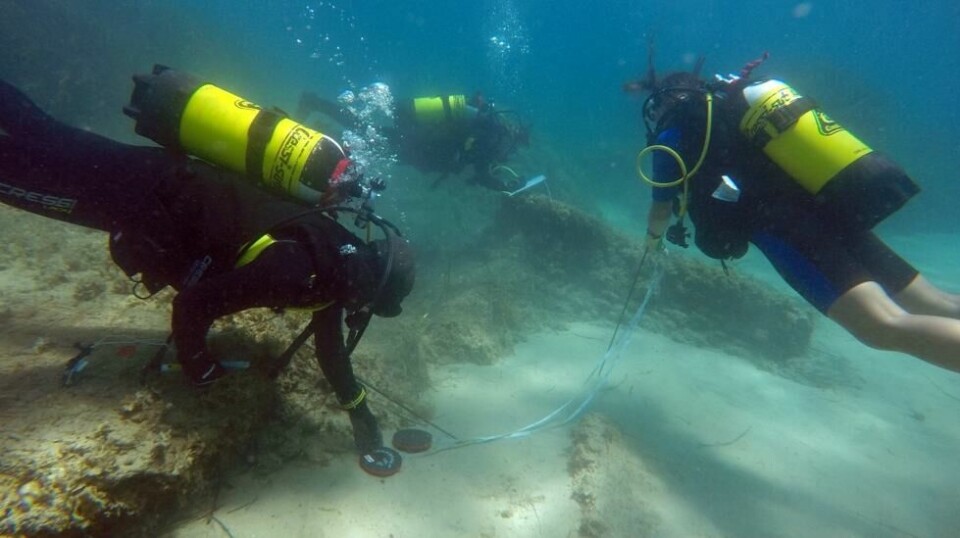 Arkeologene dykker utenfor nordøstkysten av Tunis i forbindelse med granskingen av Neapolis-ruinene. Scanpix/AFP.