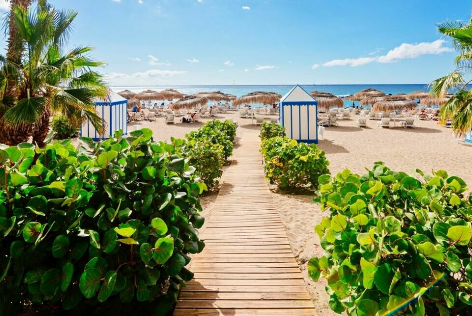 Mange avstår heller fra hverdagslige «pengeslukere» - som restaurantbesøk, take away eller å kjøpe nytt interiør og nye klær for å kunne reise, for eksempel hit til Tenerife. Mange avstår heller fra hverdagslige «pengeslukere» - som restaurantbesøk, take away eller å kjøpe nytt interiør og nye klær for å kunne reise, for eksempel hit til Tenerife. Foto: Apollo