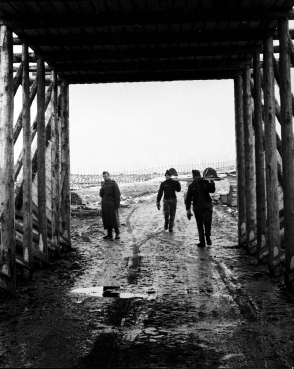 Arkivbildet viser tretunnelen og i bakgrunnen snøskjermer som ble bygget av fangene. Foto: Nord-Troms Museum Arkivbildet viser tretunnelen og i bakgrunnen snøskjermer som ble bygget av fangene. Foto: Nord-Troms Museum