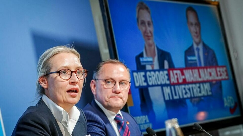 AfD-nestleder Alice Weidel leter nå etter partier å samarbeide med i EU-parlamentet. Foto: AP / NTB