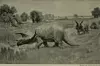 Illustrasjon av Triceratops fra 1904: Charles R. Knight. Via Wikimedia.