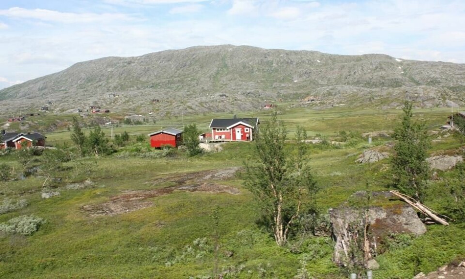 Bjørnfjell og noen av hyttene som ligger på Bjørnfjell hytteområde sør for fjellet ved Bjørnfjell stasjon i Narvik. Foto: Harald Groven / Wikimedia Bjørnfjell og noen av hyttene som ligger på Bjørnfjell hytteområde sør for fjellet ved Bjørnfjell stasjon i Narvik. Foto: Harald Groven / Wikimedia
