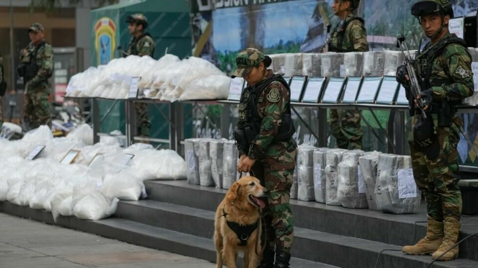 Peruansk politi viser fram et kokainbeslag. Kriminelle grupper fra Balkan har tatt styringen over store deler av kokainsmuglingen fra Latin Amerika til Europa. Foto: Martin Mejia / AP / NTB