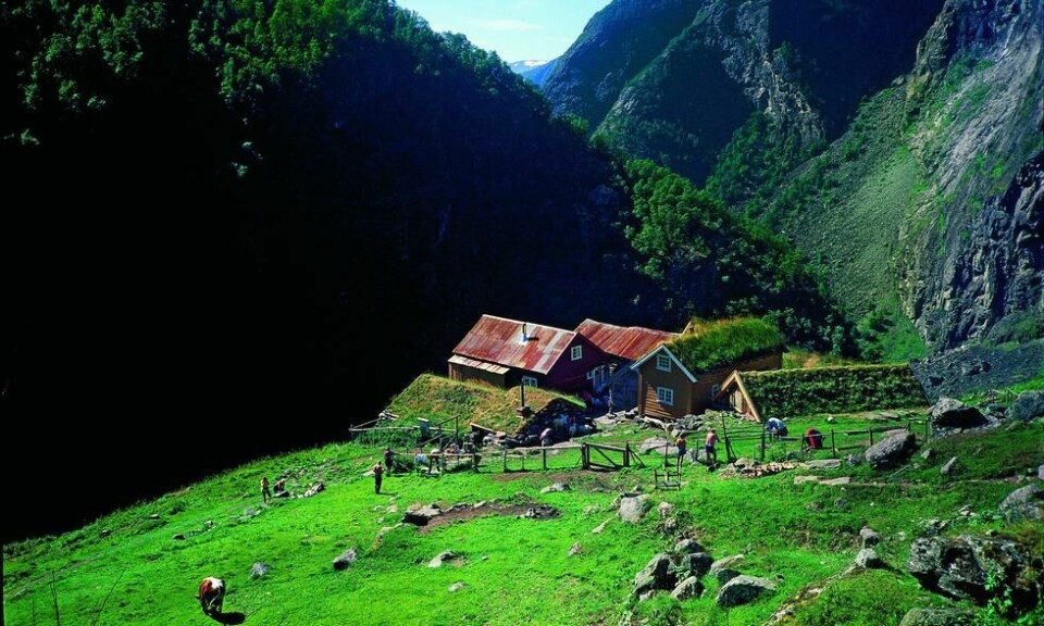 Den fraflyttede gården Sinjarheim har utvilsomt den mest storslagne beliggenheten i Aurlandsdalen. Foto: Per Roger Lauritzen Den fraflyttede gården Sinjarheim har utvilsomt den mest storslagne beliggenheten i Aurlandsdalen. Foto: Per Roger Lauritzen