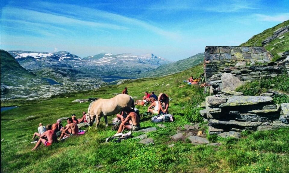 Langs slepene finnes mange gamle, flotte stølshus, som her ved Helnaberg på Hardangervidda. Foto: Per Roger Lauritzen Langs slepene finnes mange gamle, flotte stølshus, som her ved Helnaberg på Hardangervidda. Foto: Per Roger Lauritzen