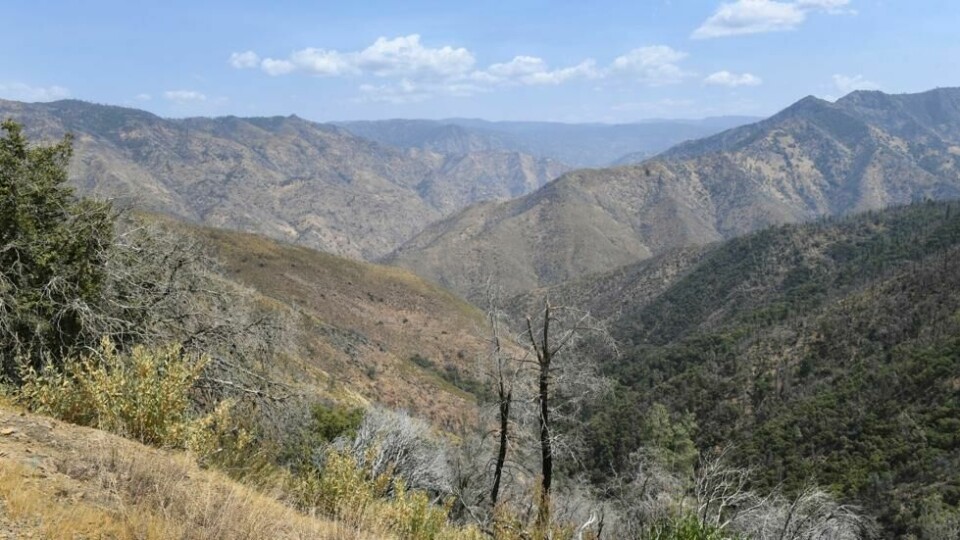 I dette området av Sierra nasjonalpark ble familien funnet omkommet. I dette området av Sierra nasjonalpark ble familien funnet omkommet. Foto: Craig Kohlruss / The Fresno Bee/AP/NTB