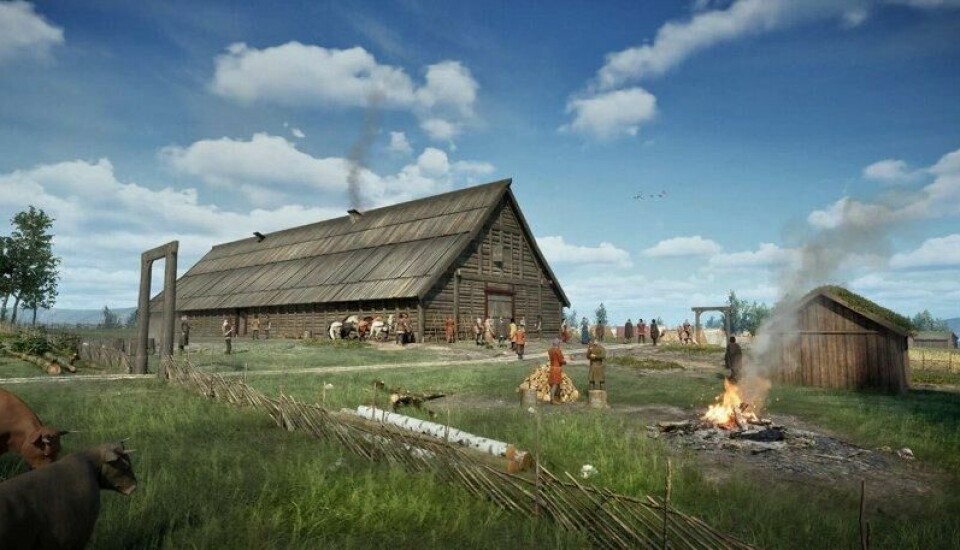 Huset på Sem kan ha sett sånn ut, ifølge arkeologene. Det var 16 meter bredt, og taket kan ha vært opptil 12 meter høyt. (Illustrasjon). Huset på Sem kan ha sett sånn ut, ifølge arkeologene. Det var 16 meter bredt, og taket kan ha vært opptil 12 meter høyt. (Illustrasjon). Foto: Kulturhistorisk museum, UiO