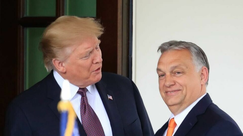 Fredag møttes Donald Trump og Viktor Orban i Mar-a-Lago. Her avbildet fra da Orban besøkte Det hvite hus i 2019. Foto: Manuel Balce Ceneta / AP / NTB