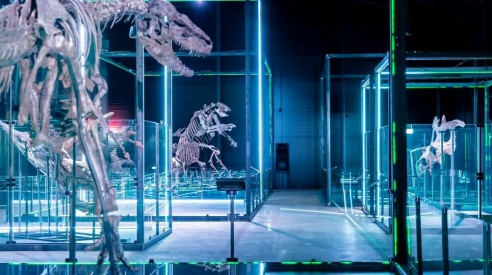 13. juni kan de første gjestene stå ansikt til ansikt med ekte dinosaurer når Museum of Evolution åpner dørene for første gang.