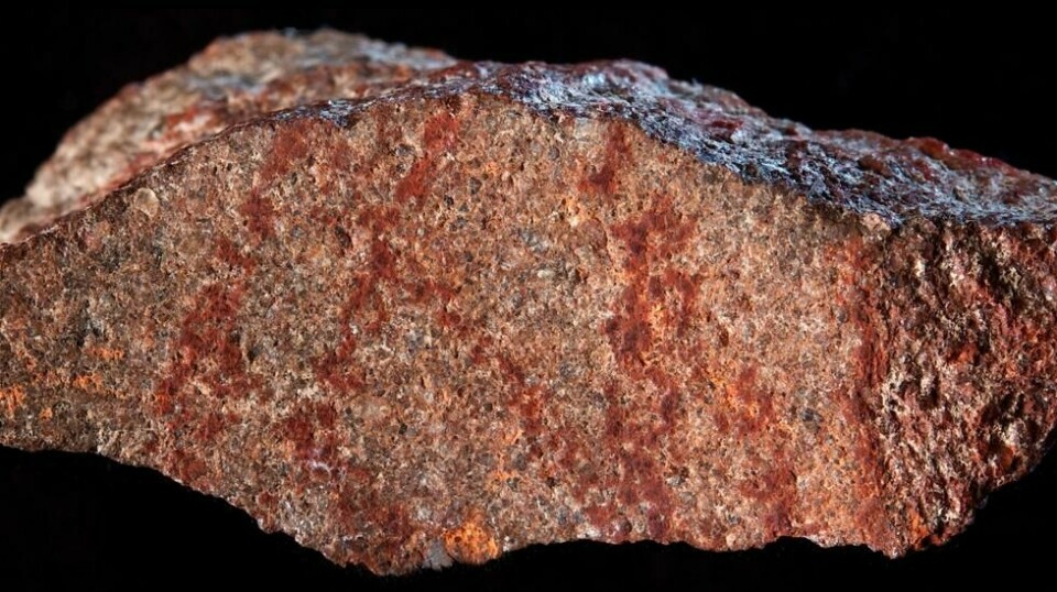 Tegning fra Blombos-grotten med «oker-fargestift» på silcrete-stein. Tegningen var et overraskende funn fra arkeolog dr. Luca Pollarolo, og ble gjort under hans gjennomgang av tusener av silcrete-avslag som tidligere har blitt utgravd i Blombos-hulen. Foto: Craig Foster.