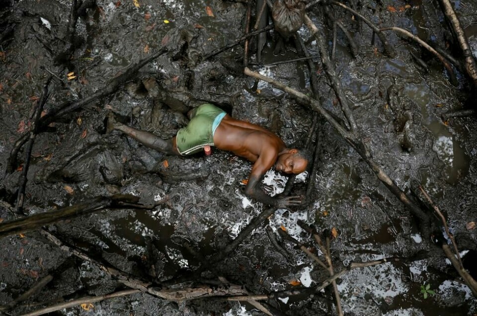 Jose da Cruz' daglige krabbefangst ved Caratingui-elva i den brasilianske delstaten Bahia er halvert på ti år. I løpet av denne tiden har vannet kommet tre meter lenger inn over land i mangroveskogen, sier han til Reuters; «Naturen er urolig... i Antarktis smelter isen. Folkens, dere må bli bevisst det som er i ferd med å skje». 3. april 2019. NTB Scanpix/Reuters. Jose da Cruz' daglige krabbefangst ved Caratingui-elva i den brasilianske delstaten Bahia er halvert på ti år. I løpet av denne tiden har vannet kommet tre meter lenger inn over land i mangroveskogen, sier han til Reuters; «Naturen er urolig... i Antarktis smelter isen. Folkens, dere må bli bevisst det som er i ferd med å skje». 3. april 2019. NTB Scanpix/Reuters.