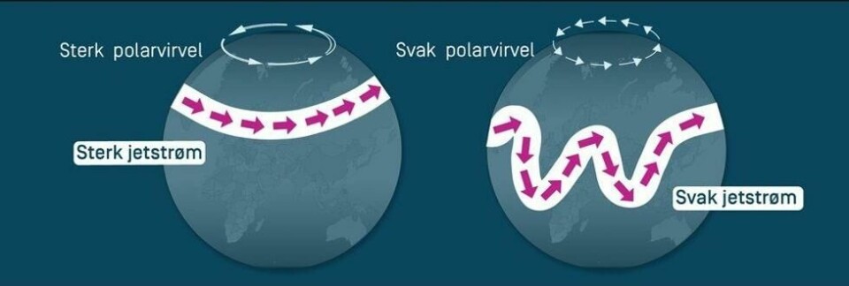 Polarvirvelen er en stor luftsirkulasjon som ligger rundt polområdene. Denne sirkulasjonen holder vanligvis den kalde luften i polarområdene isolert fra varmere luftmasser lenger sør. Men noen ganger kan polarvirvelen bli svekket, og få den kalde lufta til å bevege seg sørover. Polarvirvelen er en stor luftsirkulasjon som ligger rundt polområdene. Denne sirkulasjonen holder vanligvis den kalde luften i polarområdene isolert fra varmere luftmasser lenger sør. Men noen ganger kan polarvirvelen bli svekket, og få den kalde lufta til å bevege seg sørover. Foto: Meteorologisk institutt