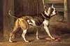 Tegninger og malerier fra både forrige århundre og tidligere viser at det er en helt annen hund, utseendemessig, vi i dag kaller engelsk bulldog. Her et maleri fra 1790 av den engelske kunstneren Philip Reinagle. Foto: Wikipedai / Wikimedia commons